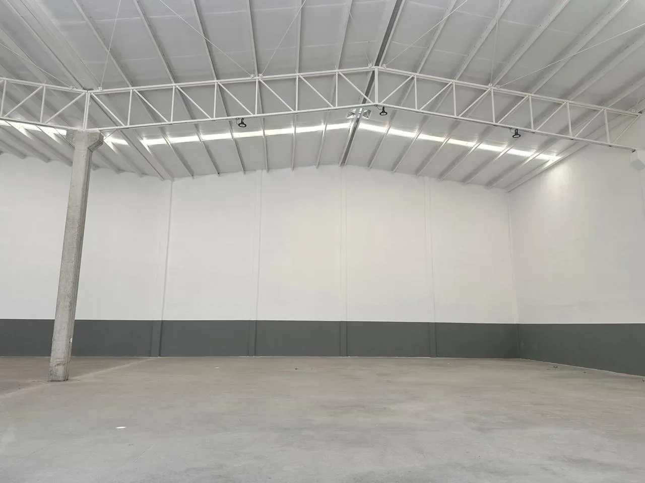 BODEGA COMERCIAL EN RENTA 250 M2 AV R CORTINES ESQ AV R RANGEL FRIAS